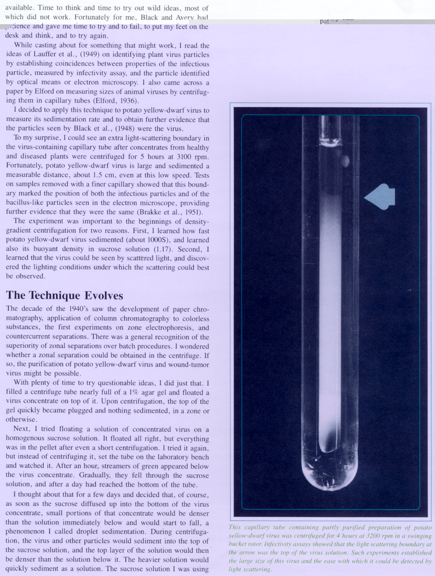 Sucrose gradients 5