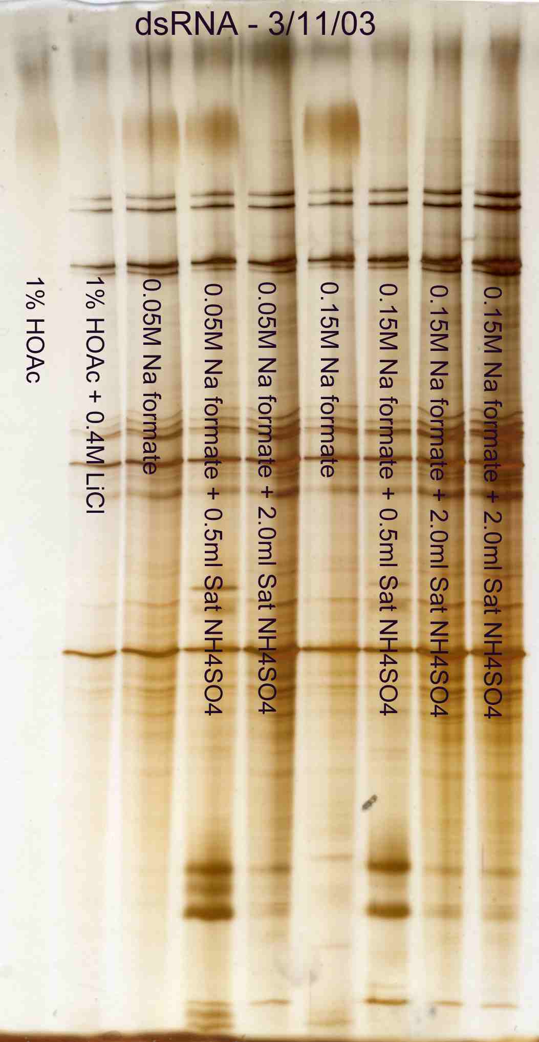 Effect of formate and ammonium sulfate on dsRNA extraction