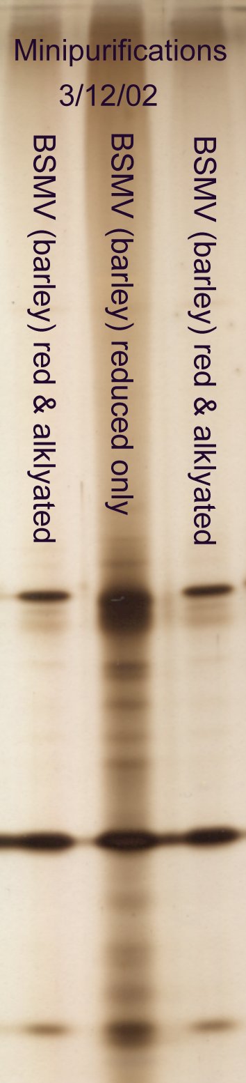 Reduction and alkylation