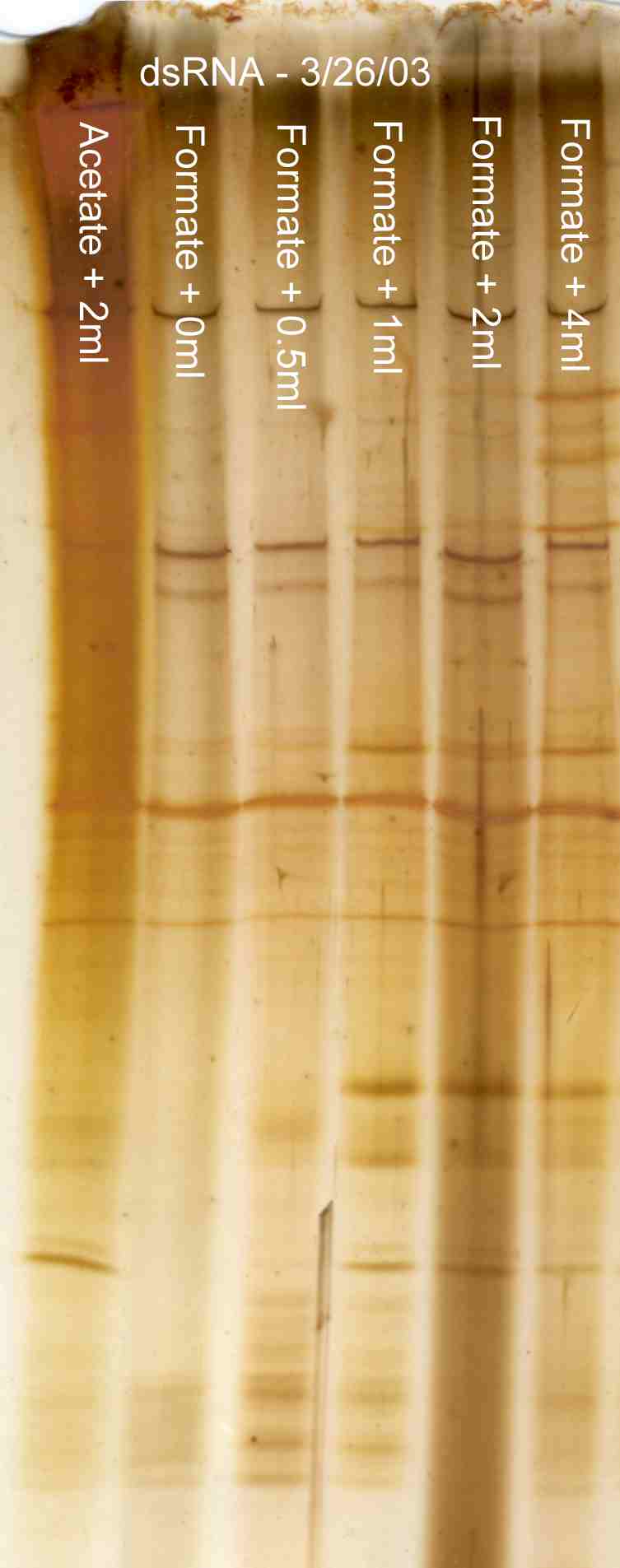 Effect of ammonium sulfate on dsRNA extraction