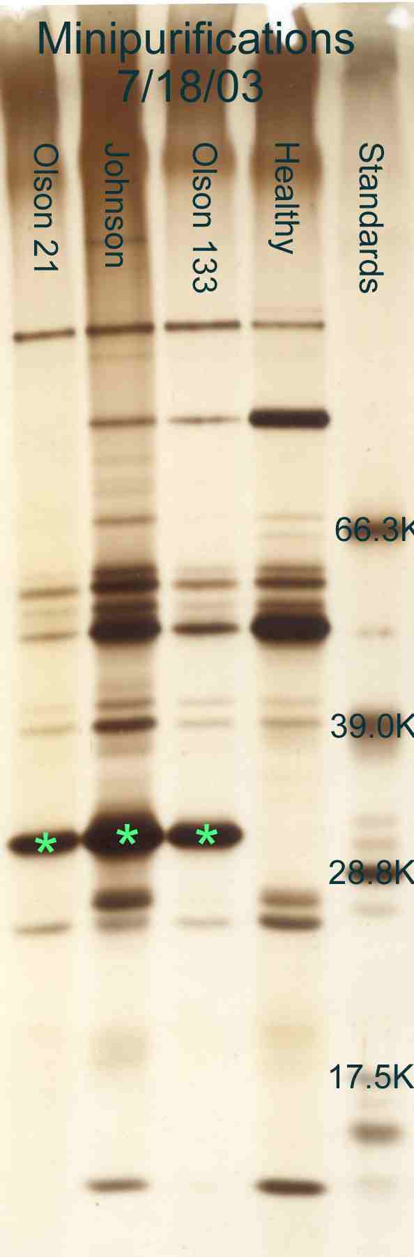 High Plains virus (HPV)- minipurification