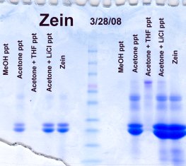 precipitation of zein from phenol